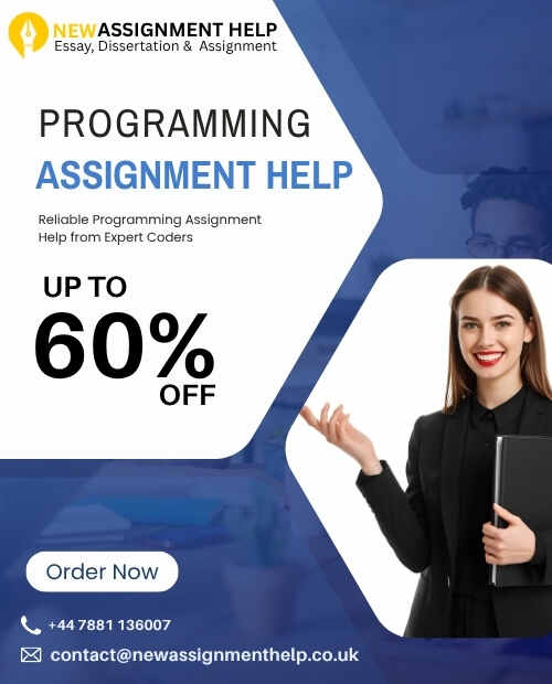 Programming Assignment Help for UK Students